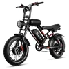 2000W New High Speed 20inch Hydraulic brake Adults Electric Bike With 25AH Dual Motor Electric Motorcycle Bicycle