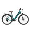 E-bike Fiido c11 pro