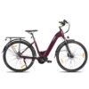 LAMASSU LMS006-EU Elektrische Stadsfiets 250W - Image 5
