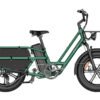 Fiido T2 Longtail Cargo E-bike – 48V 20Ah